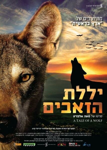 Рассказ о волке (2013)