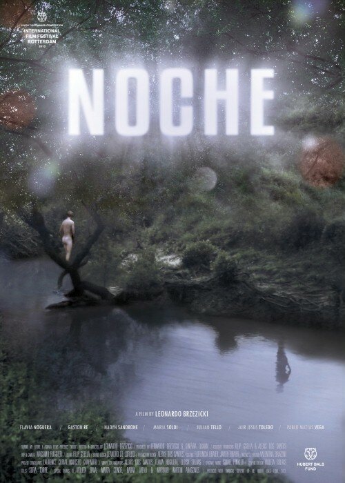 Ночь (2013)