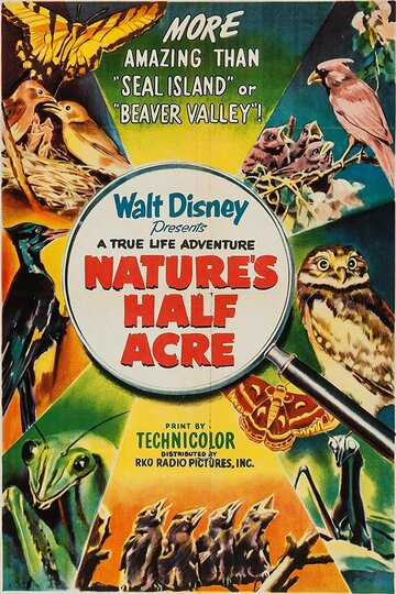 Пол-акра природы (1951)